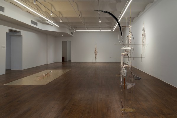 Image 12 of 25