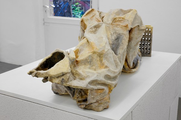 Image 11 of 24