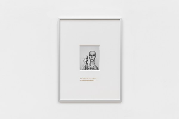 Image 7 of 22