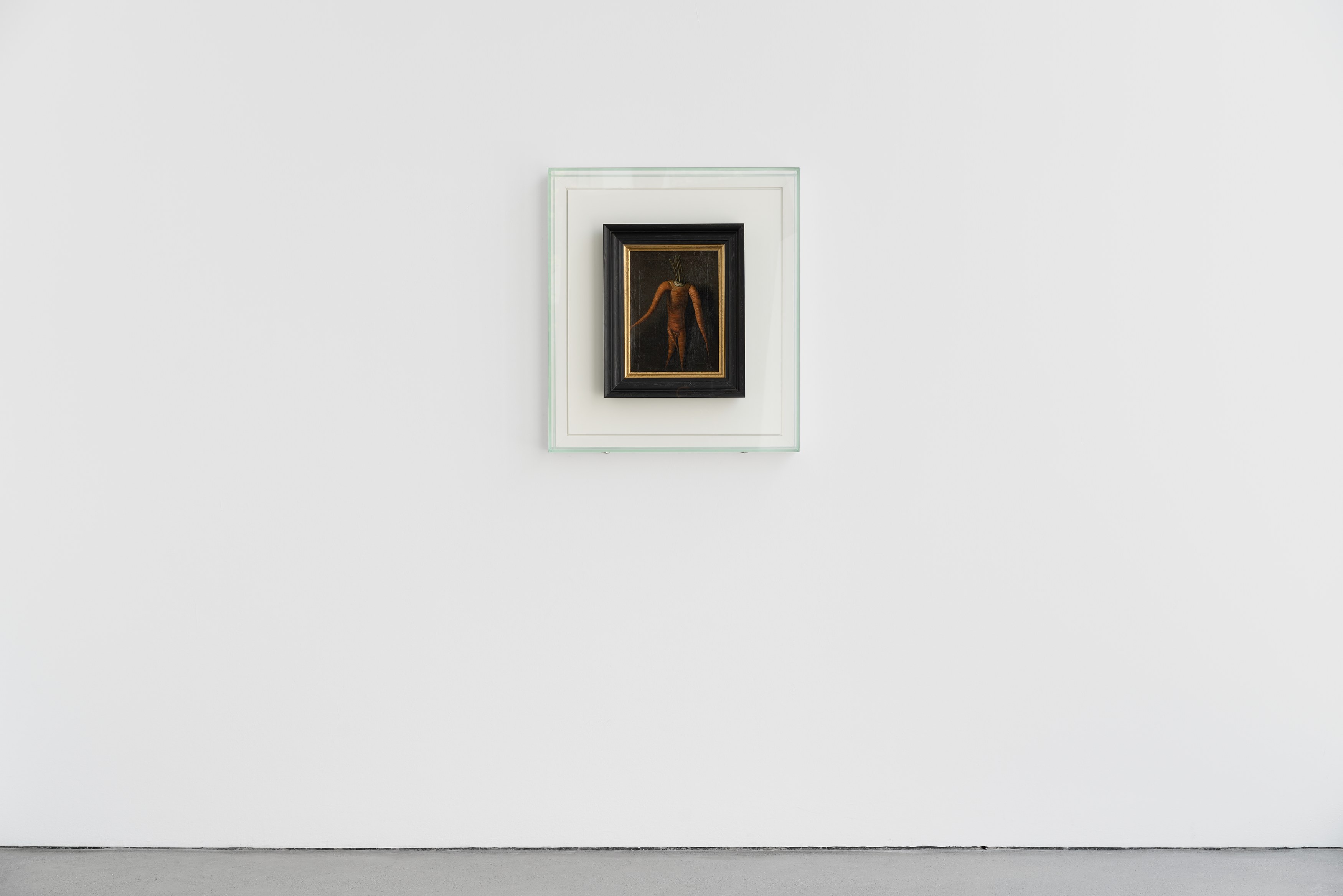 Willem de Rooij, Root at Galerie Thomas Schulte, photo 7