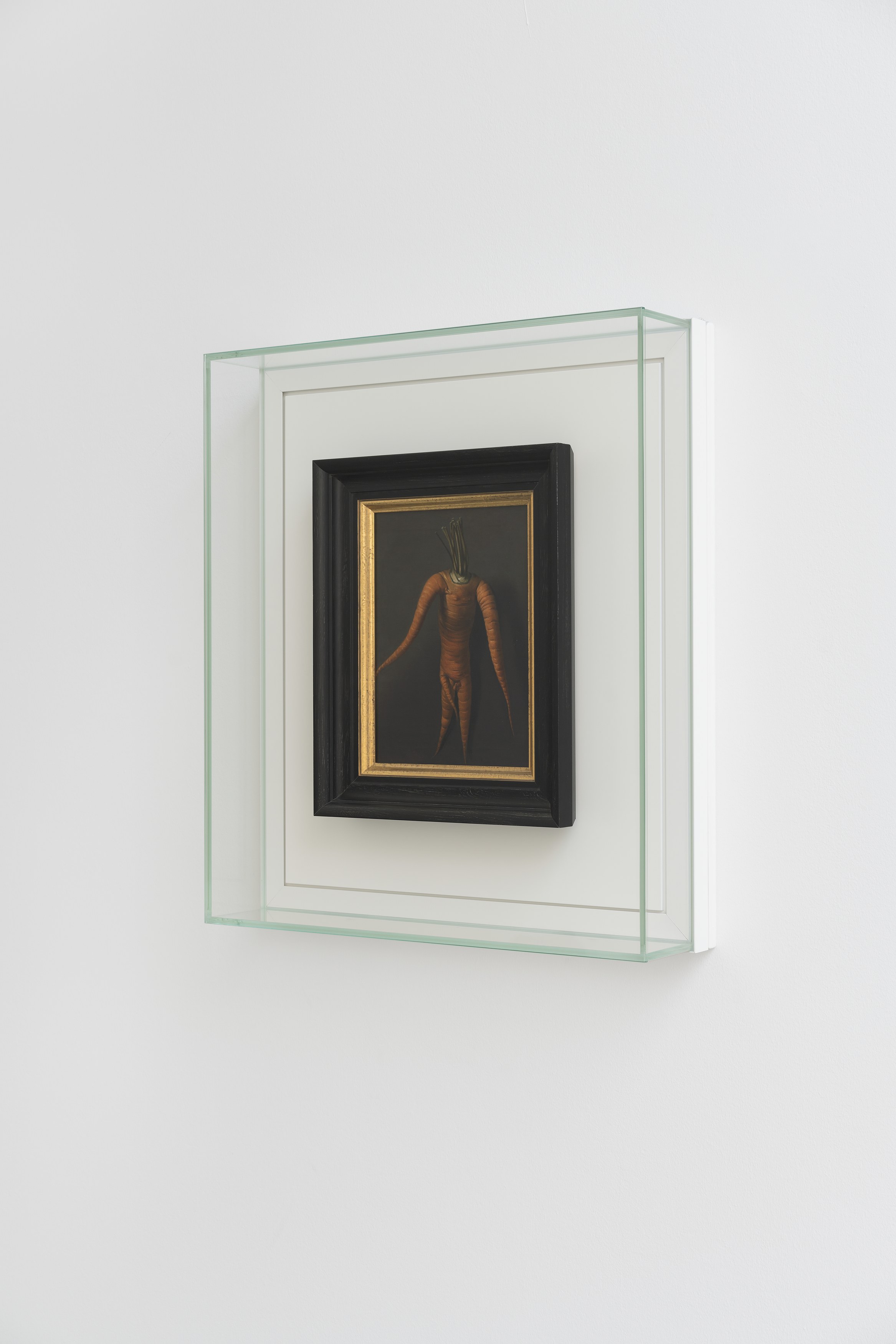 Willem de Rooij, Root at Galerie Thomas Schulte, photo 8