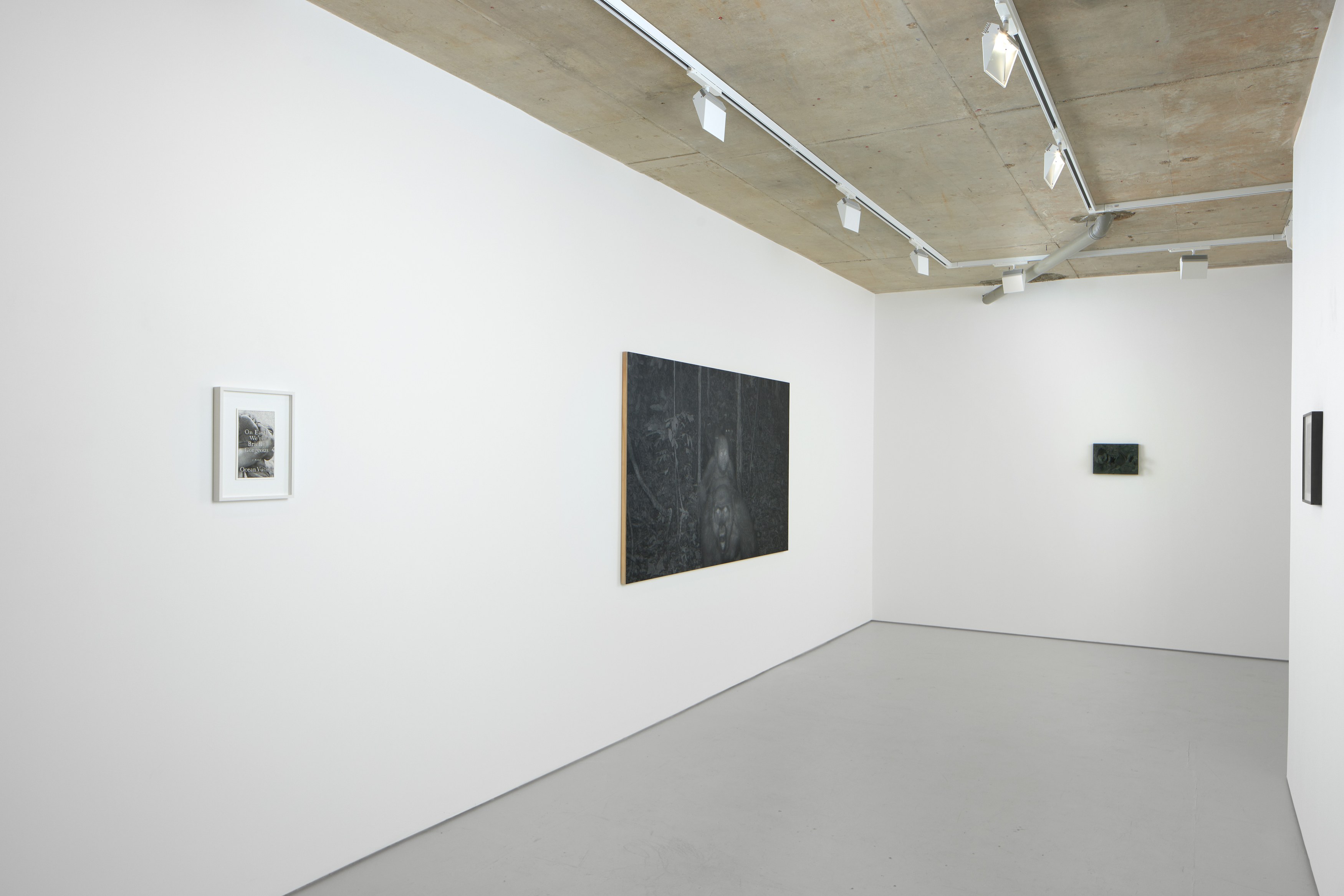 Xavier Robles de Medina, I will go away into the wild wood, and never come home again at Alice Amati, photo 2