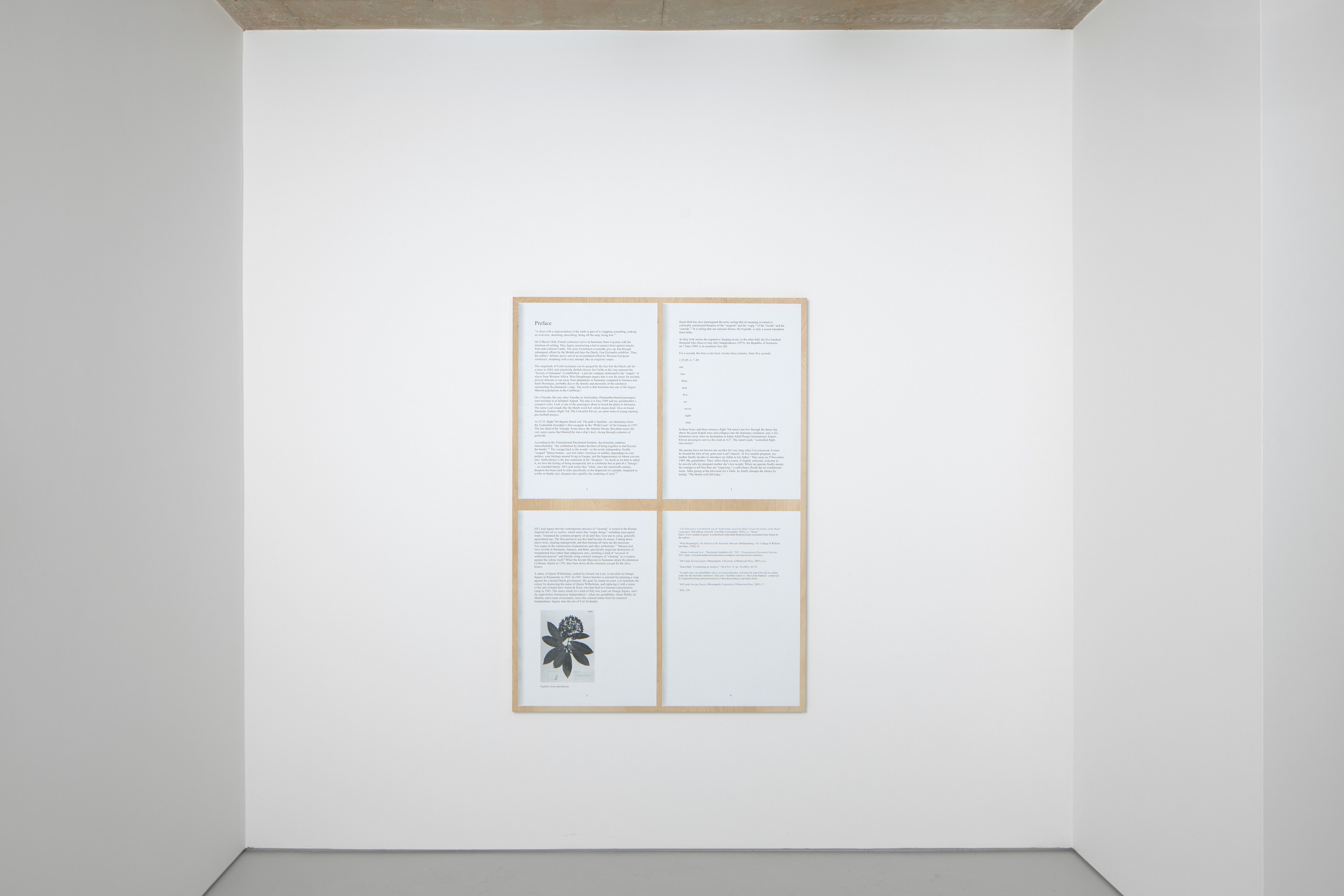 Xavier Robles de Medina, I will go away into the wild wood, and never come home again at Alice Amati, photo 5