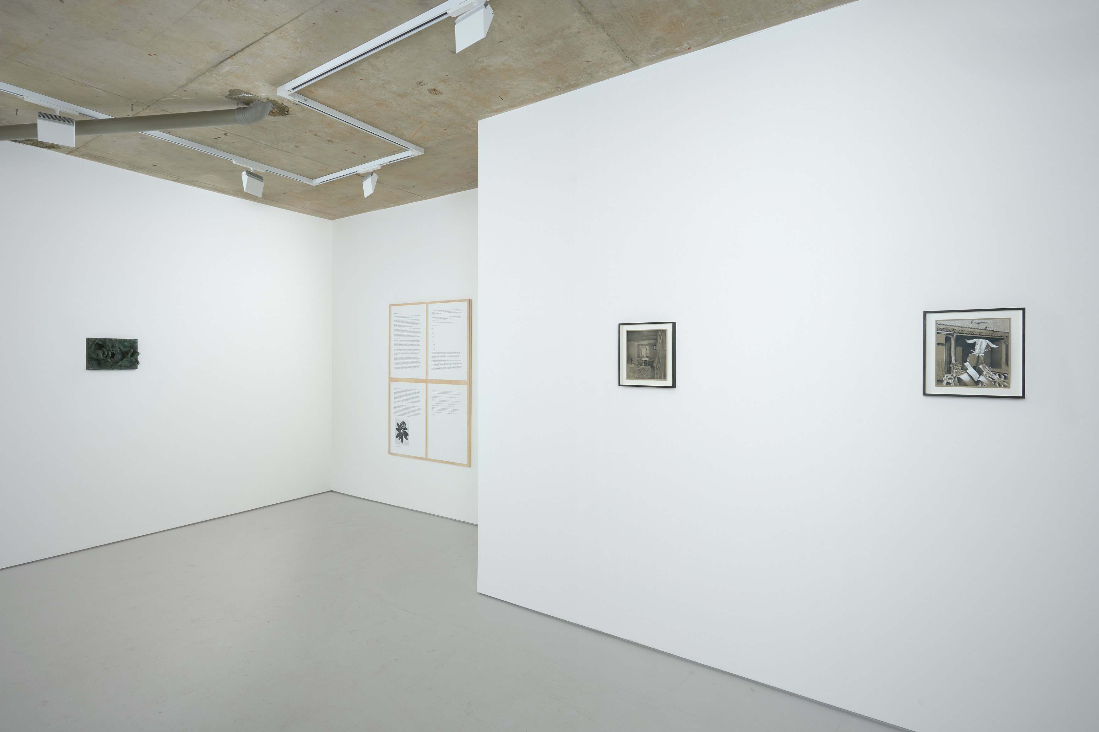 Xavier Robles de Medina, I will go away into the wild wood, and never come home again at Alice Amati, photo 3