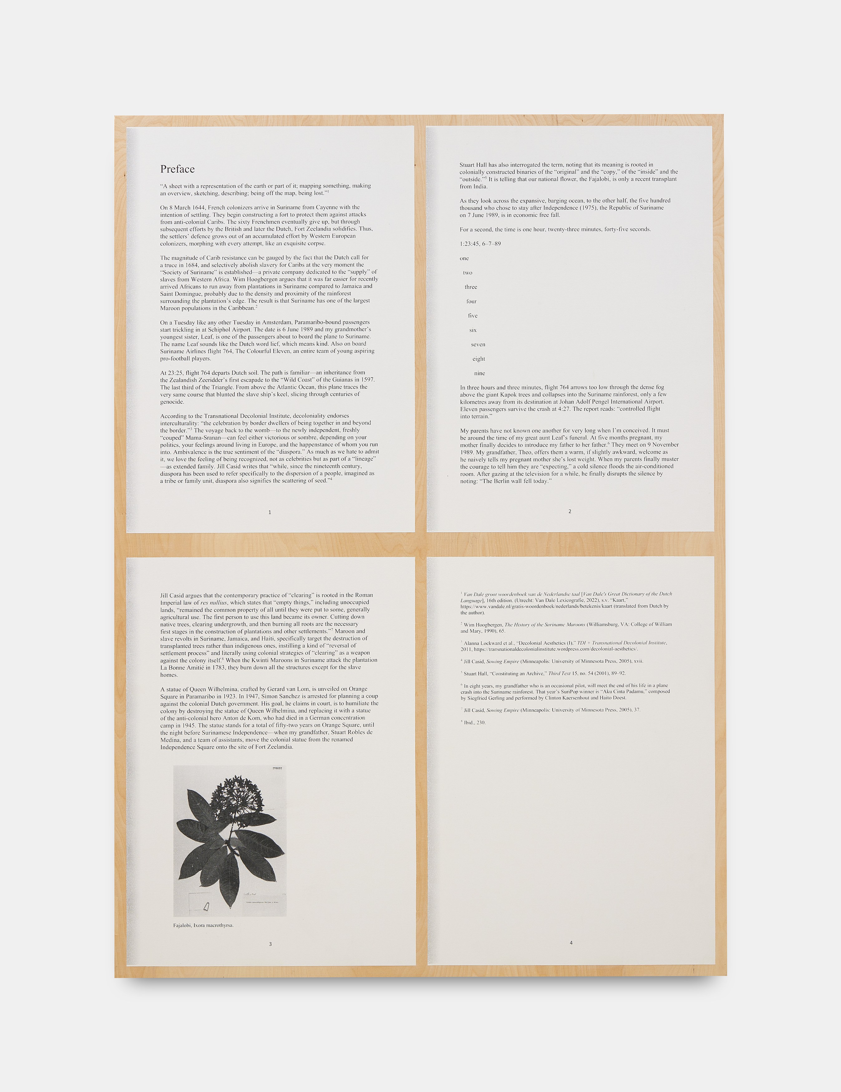 Xavier Robles de Medina, I will go away into the wild wood, and never come home again at Alice Amati, photo 11