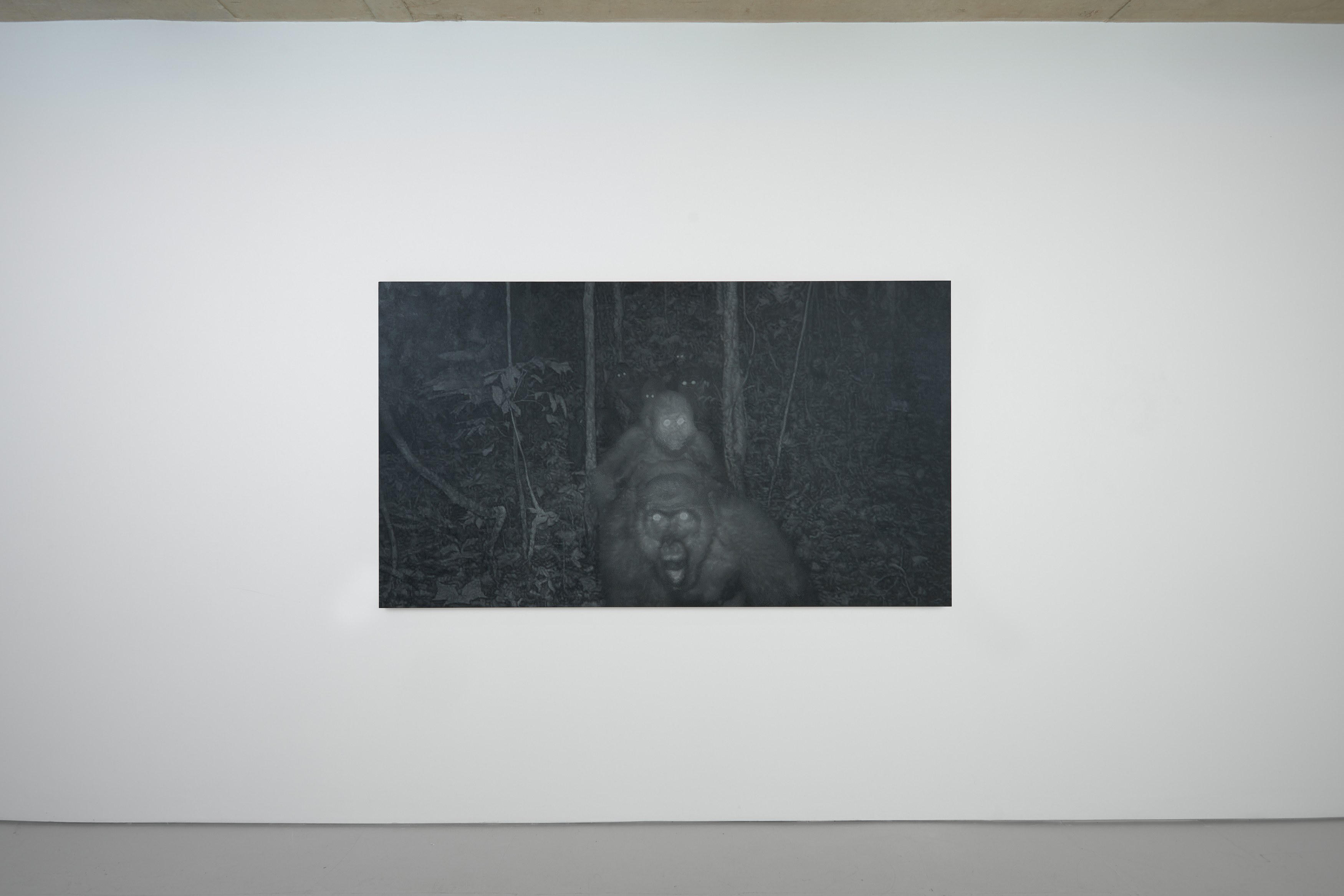 Xavier Robles de Medina, I will go away into the wild wood, and never come home again at Alice Amati, photo 9