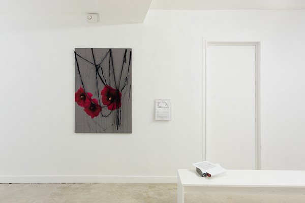 Image 15 of 27