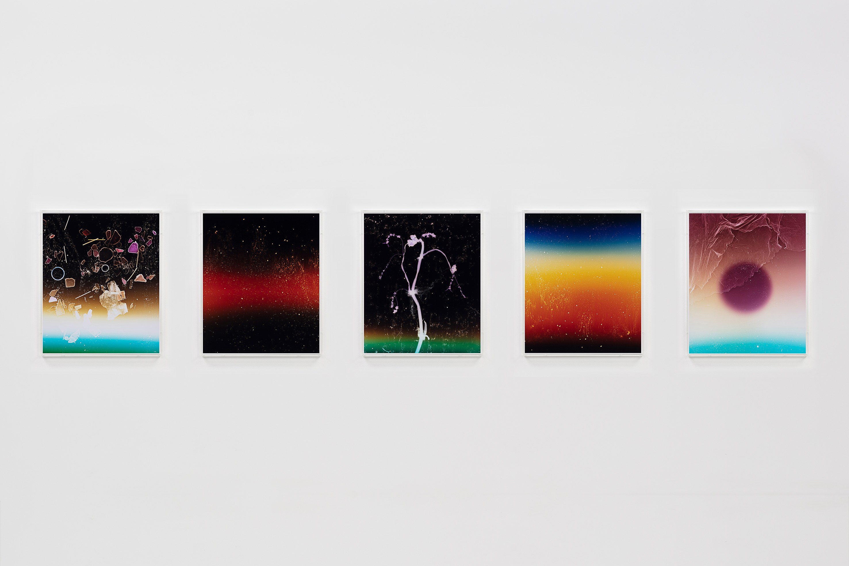 Anne Hardy, Rising Heat at Studio M, photo 3