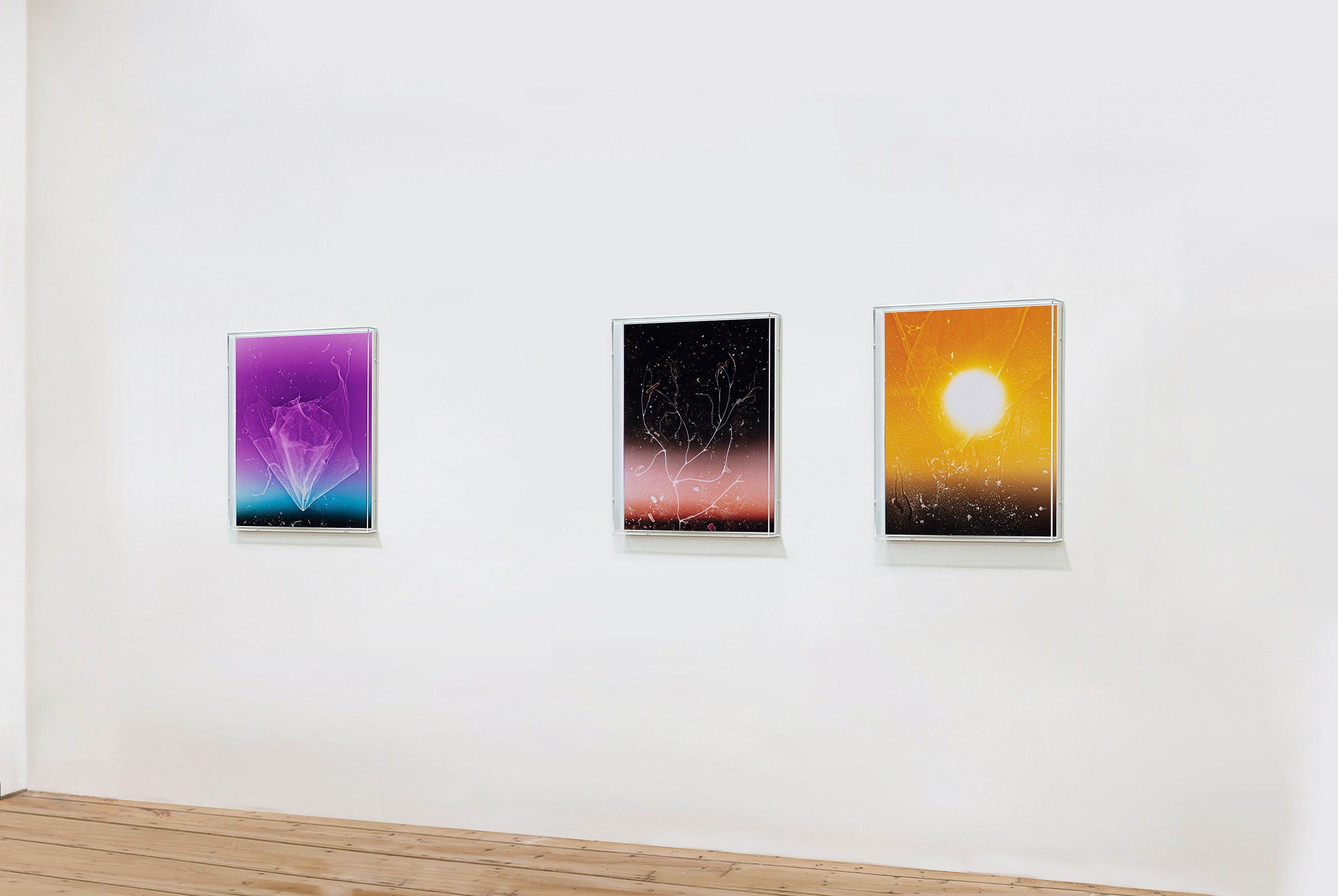 Anne Hardy, Rising Heat at Studio M, photo 2