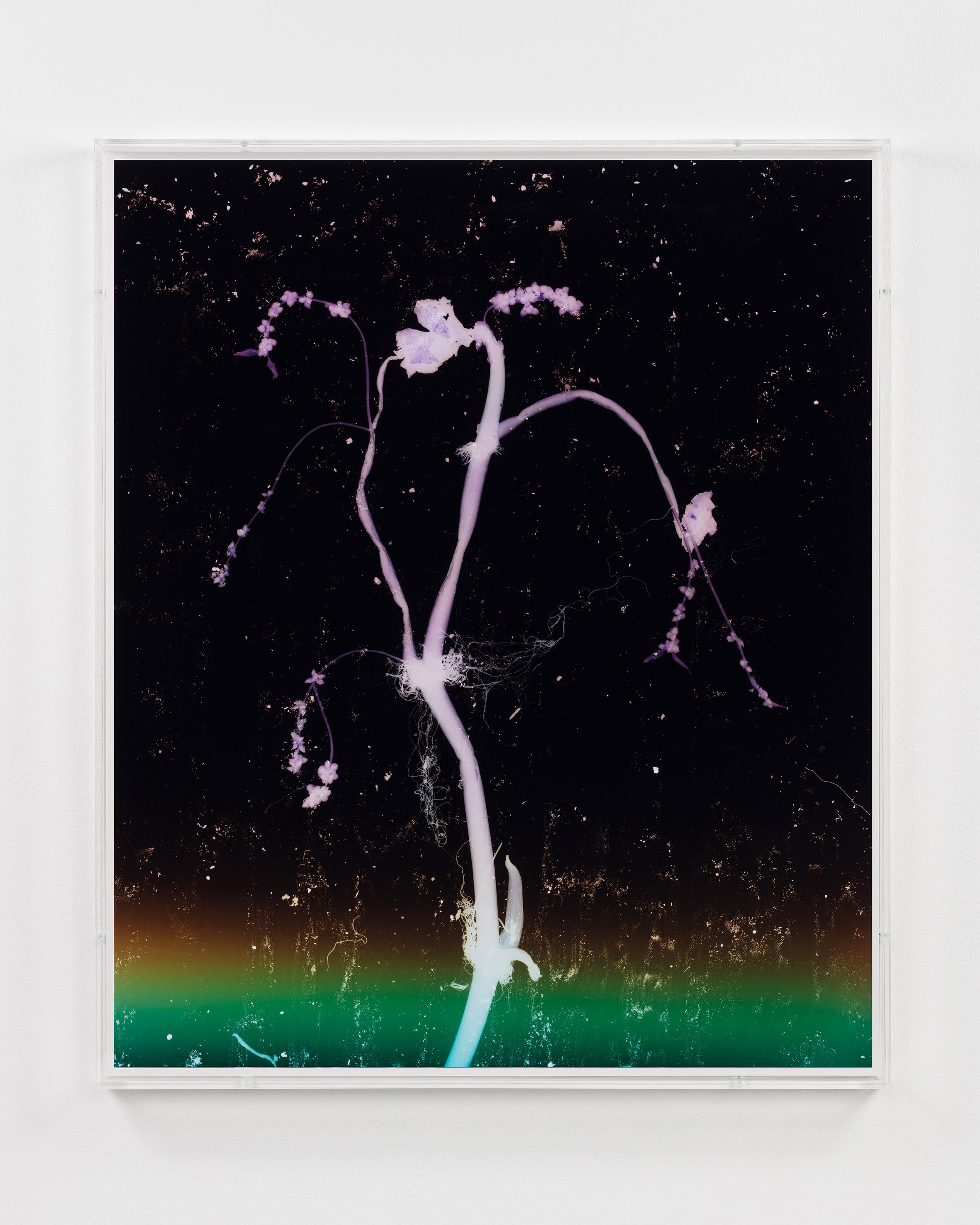 Anne Hardy, Rising Heat at Studio M, photo 5