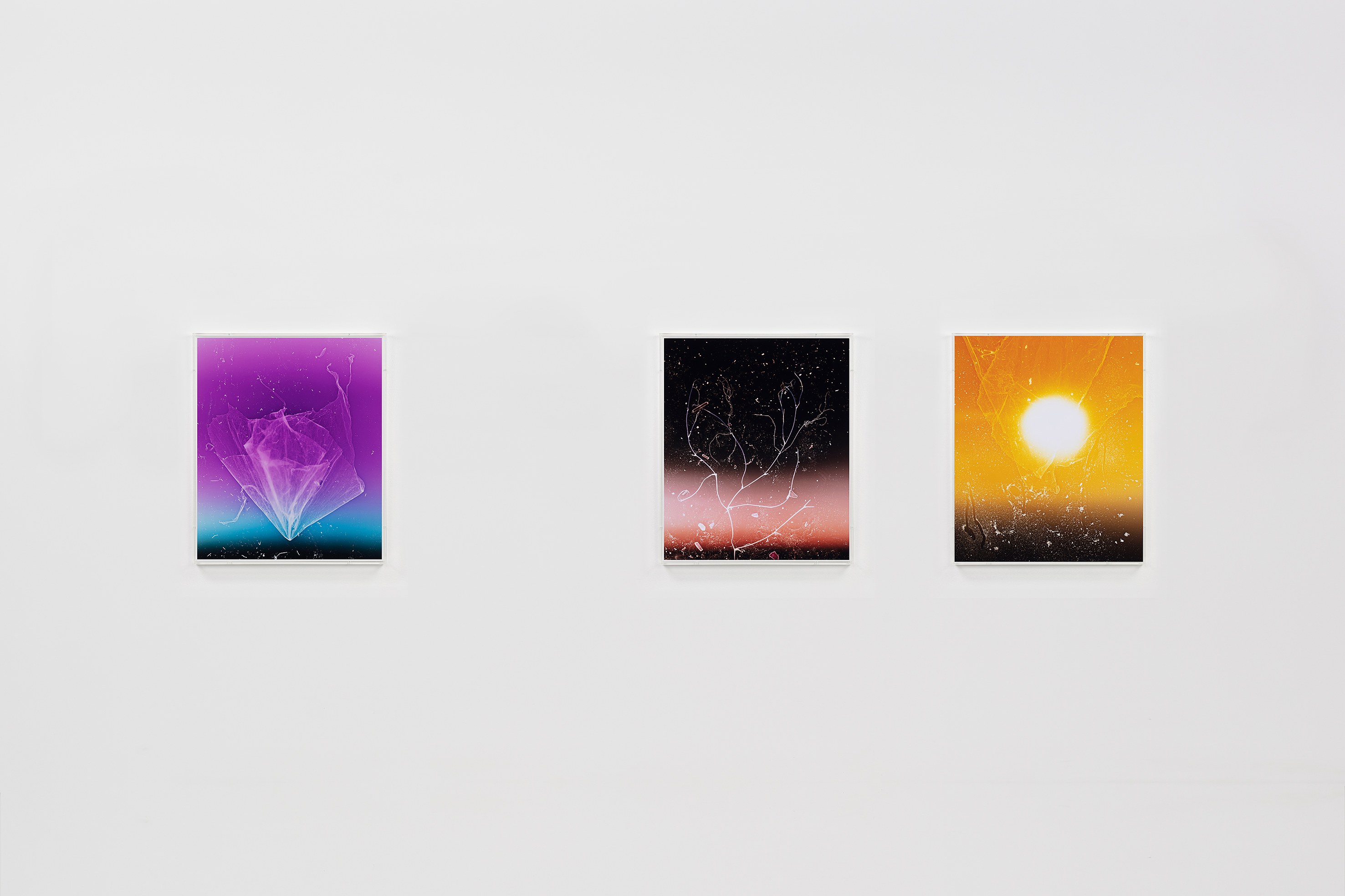 Anne Hardy, Rising Heat at Studio M, photo 4