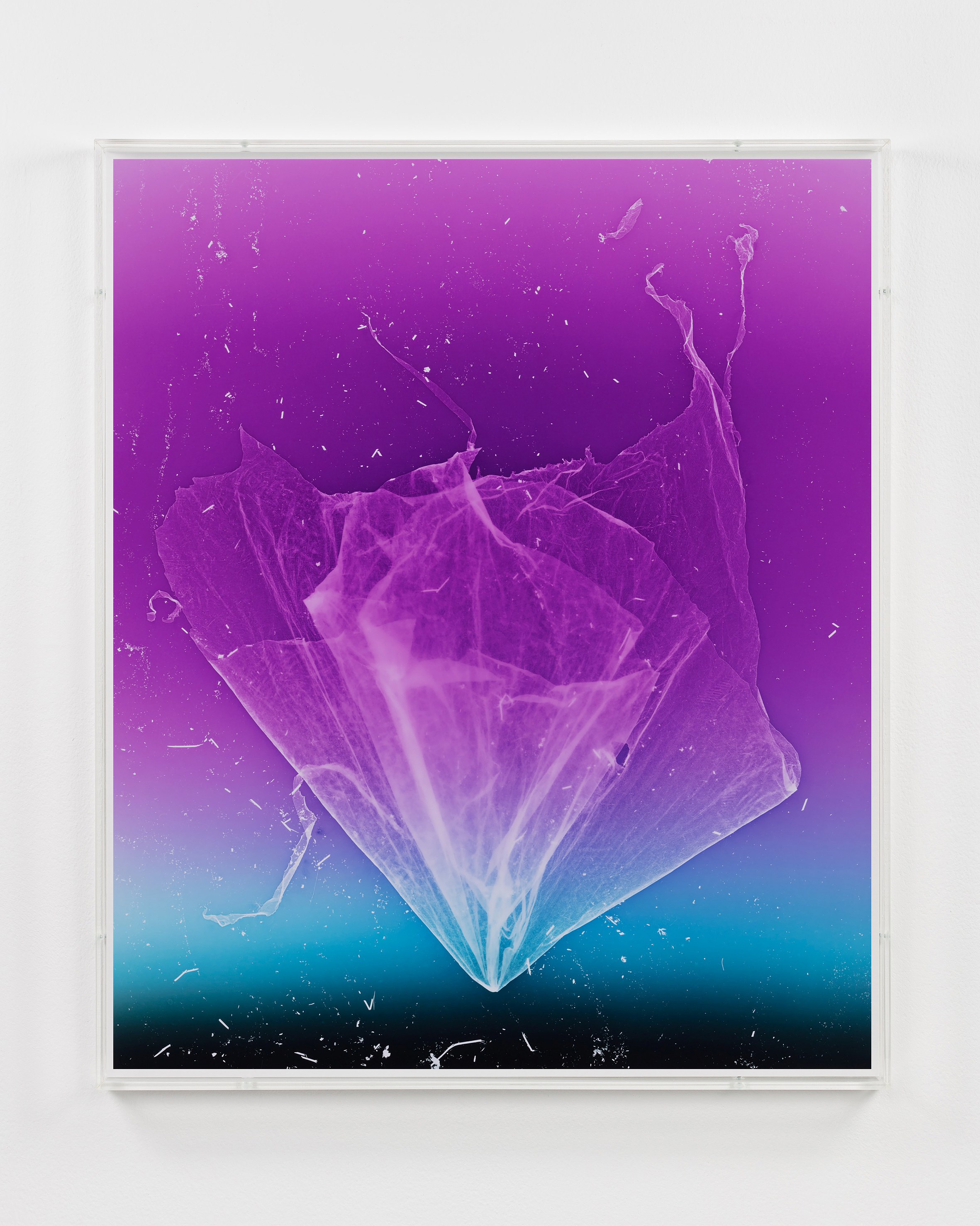 Anne Hardy, Rising Heat at Studio M, photo 10