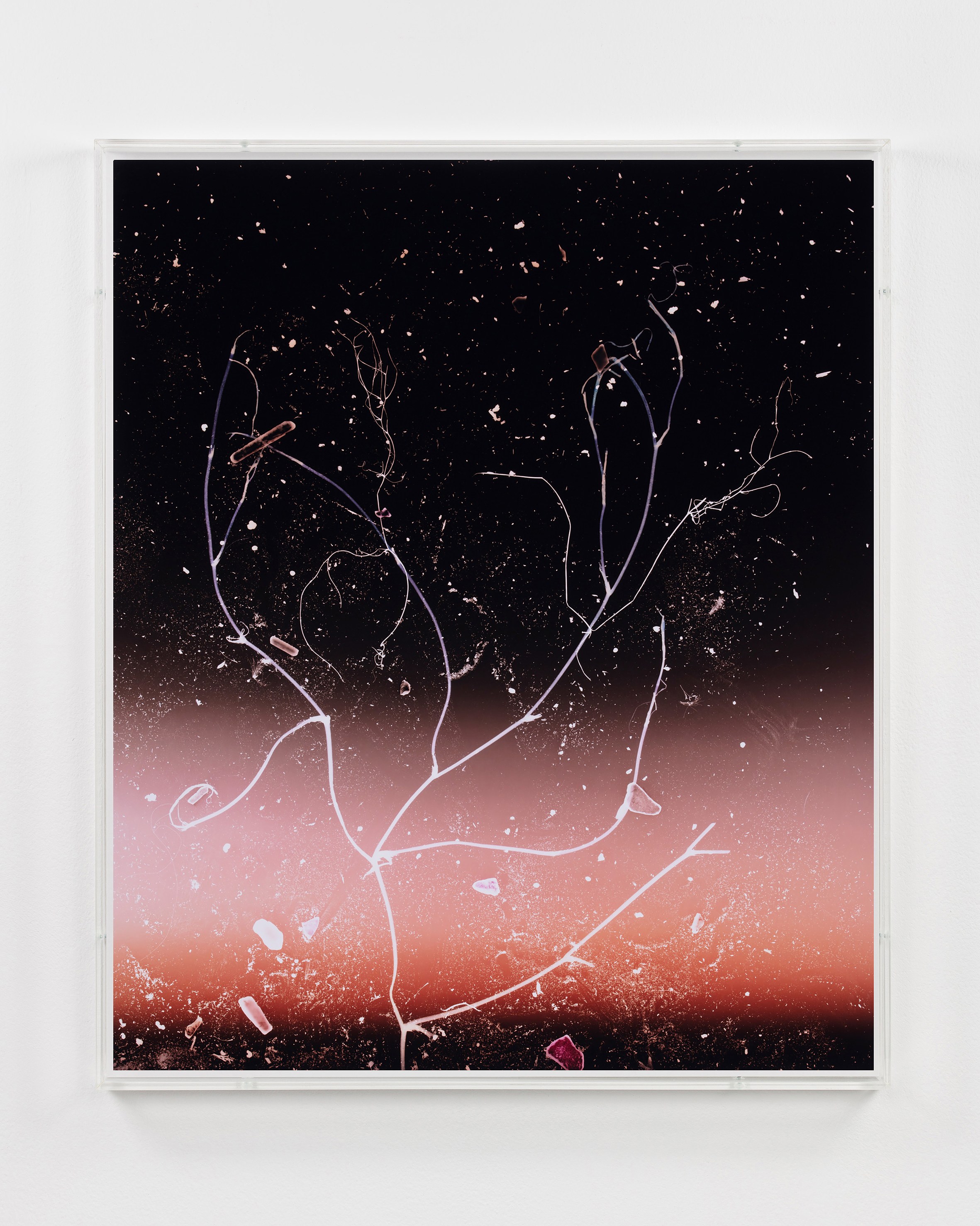 Anne Hardy, Rising Heat at Studio M, photo 6