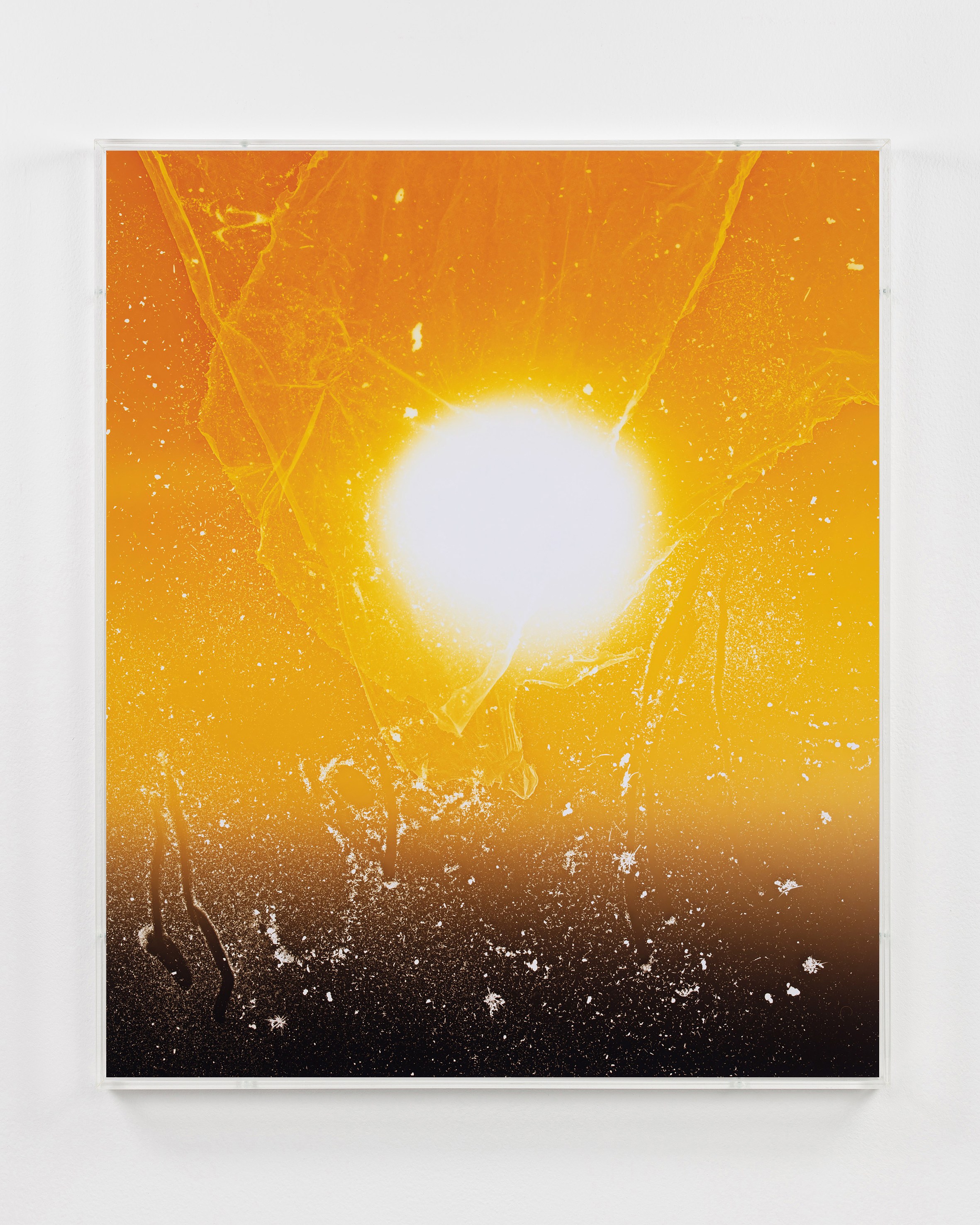 Anne Hardy, Rising Heat at Studio M, photo 12