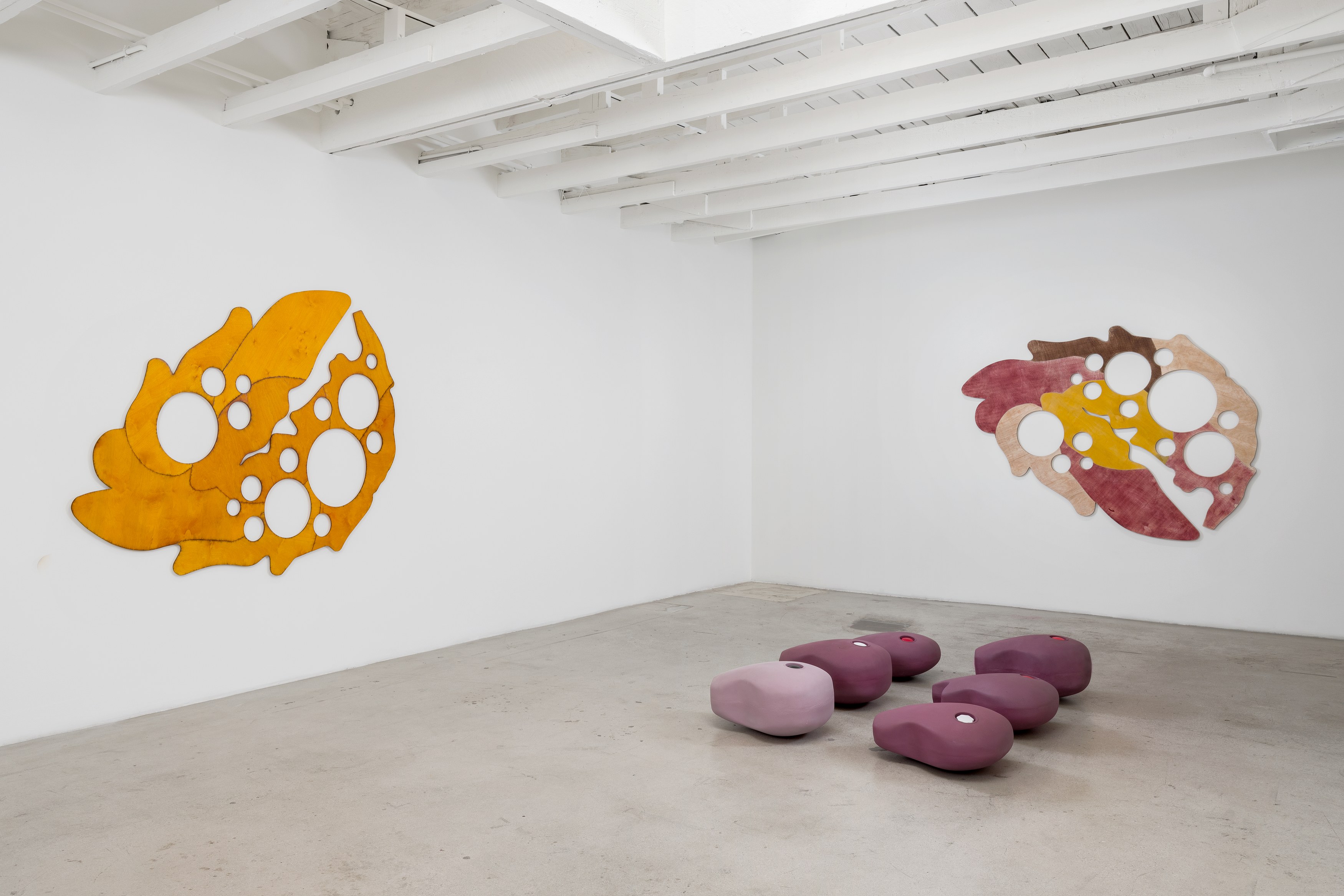 Chadwick Rantanen, RIGORS at Michael Benevento Gallery, photo 31