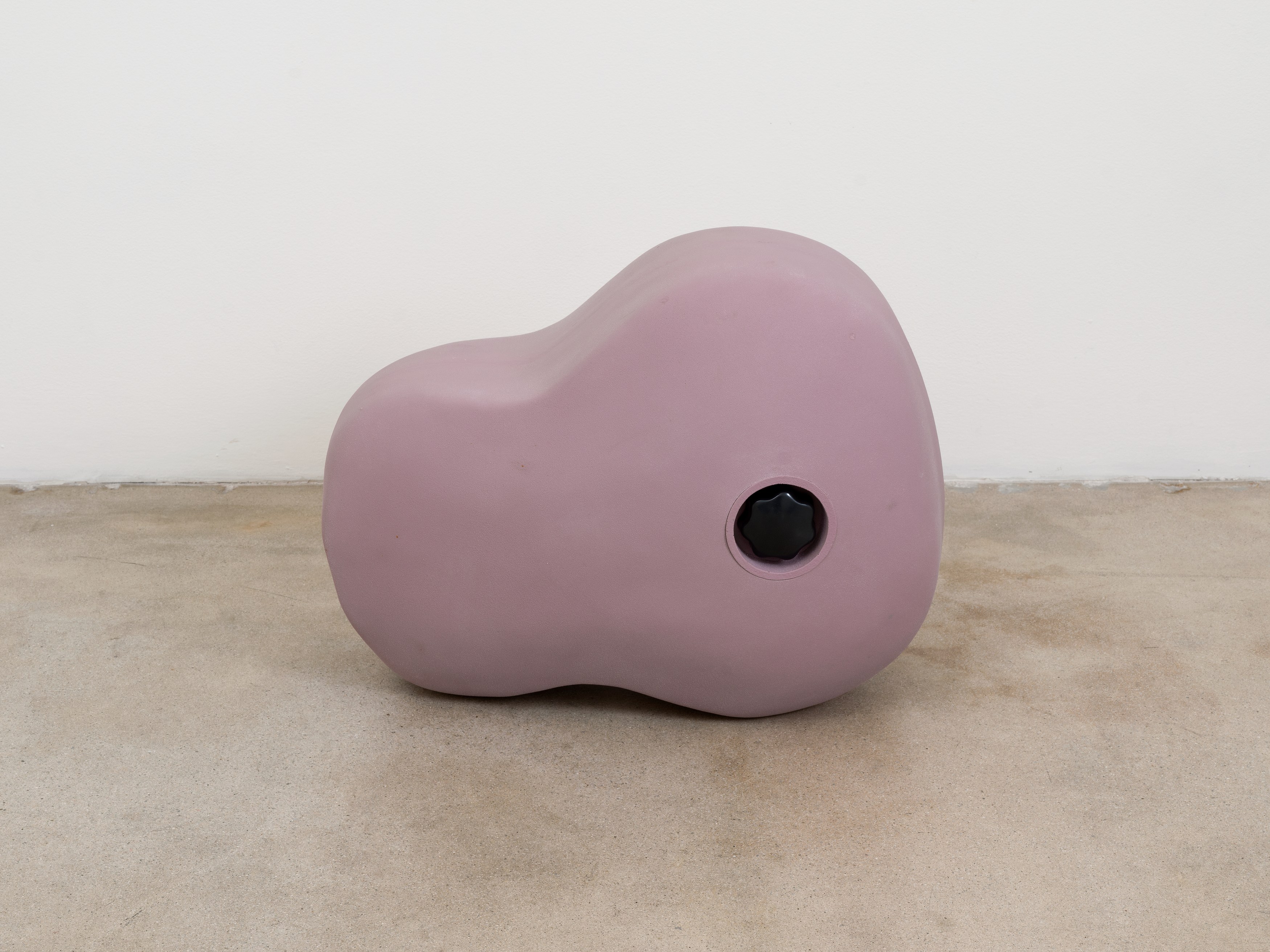 Chadwick Rantanen, RIGORS at Michael Benevento Gallery, photo 35