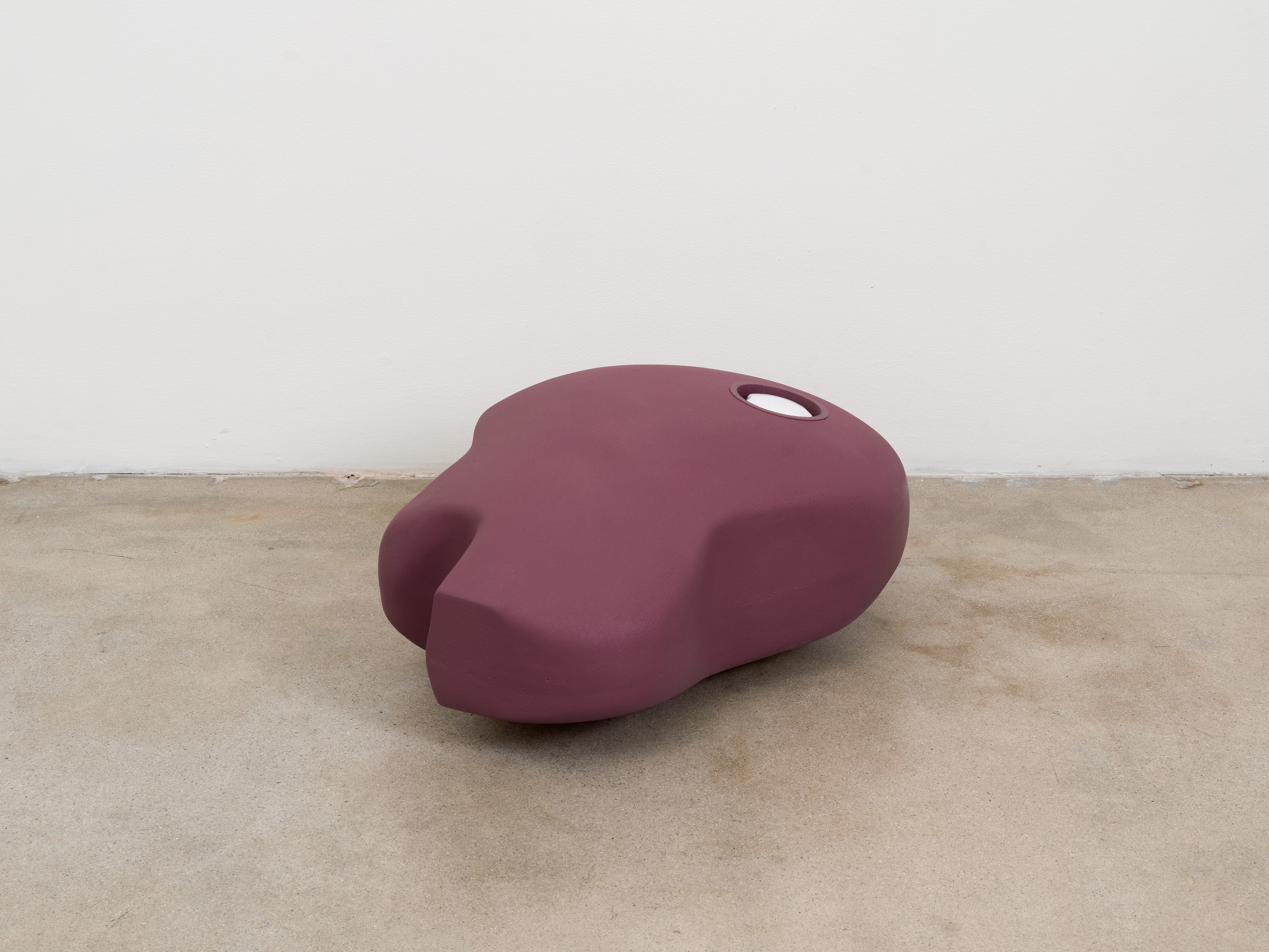 Chadwick Rantanen, RIGORS at Michael Benevento Gallery, photo 41
