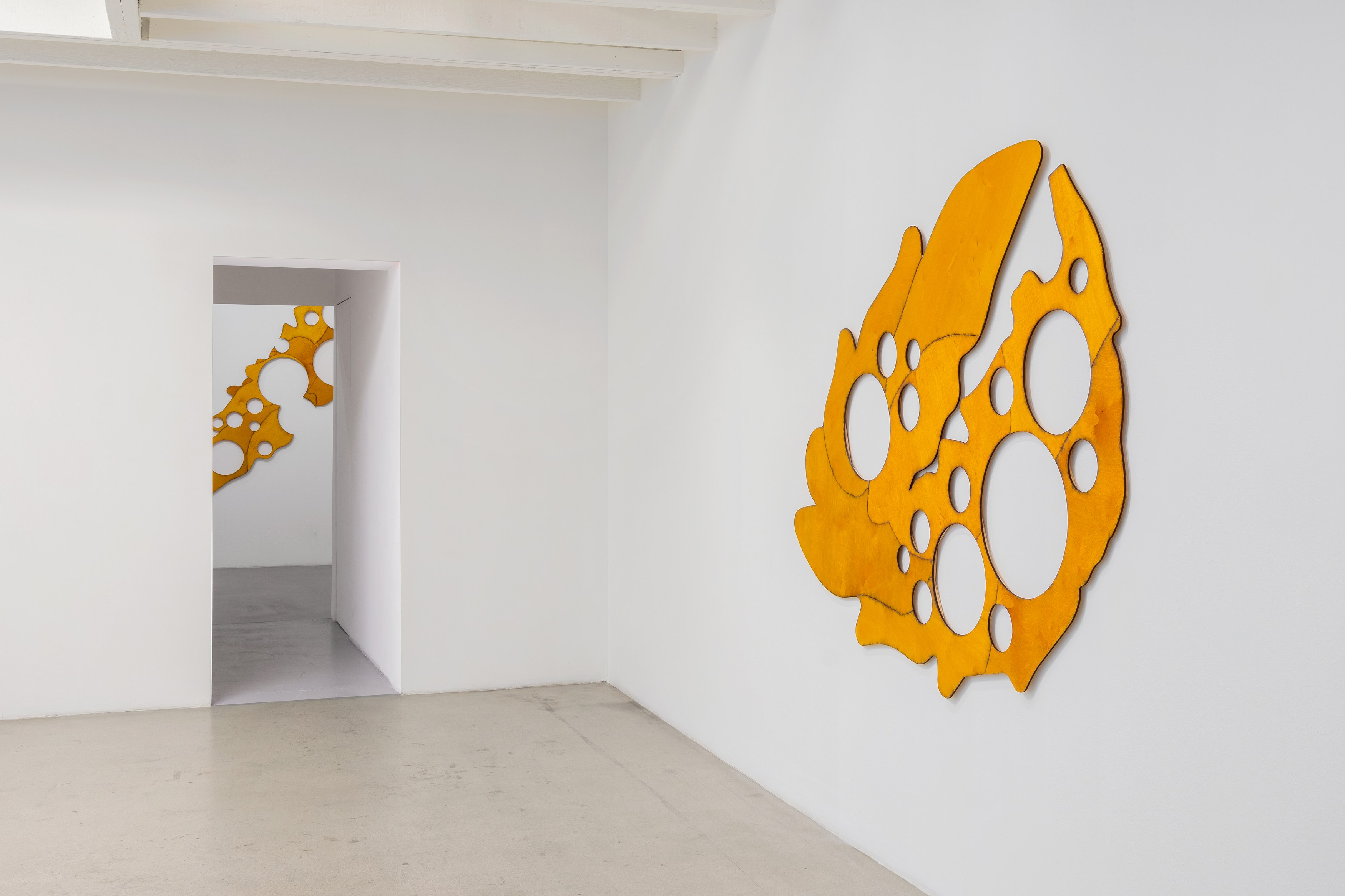 Chadwick Rantanen, RIGORS at Michael Benevento Gallery, photo 48