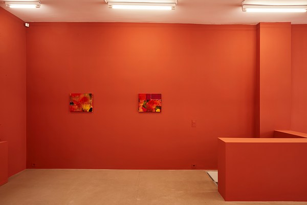 Image 4 of 20