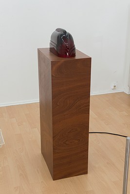 Image 12 of 25