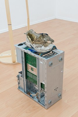 Image 14 of 25