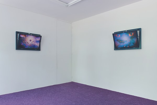 Image 4 of 33