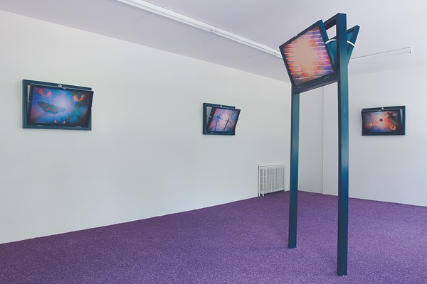 Image 3 of 33