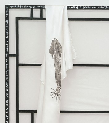 Image 7 of 17