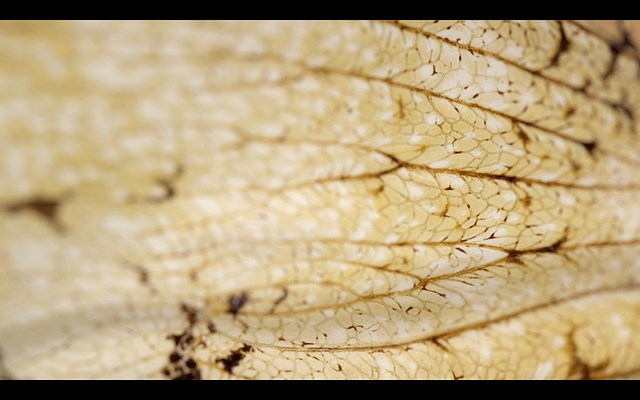 Image 14 of 18