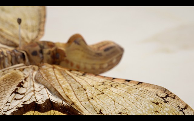 Image 15 of 18