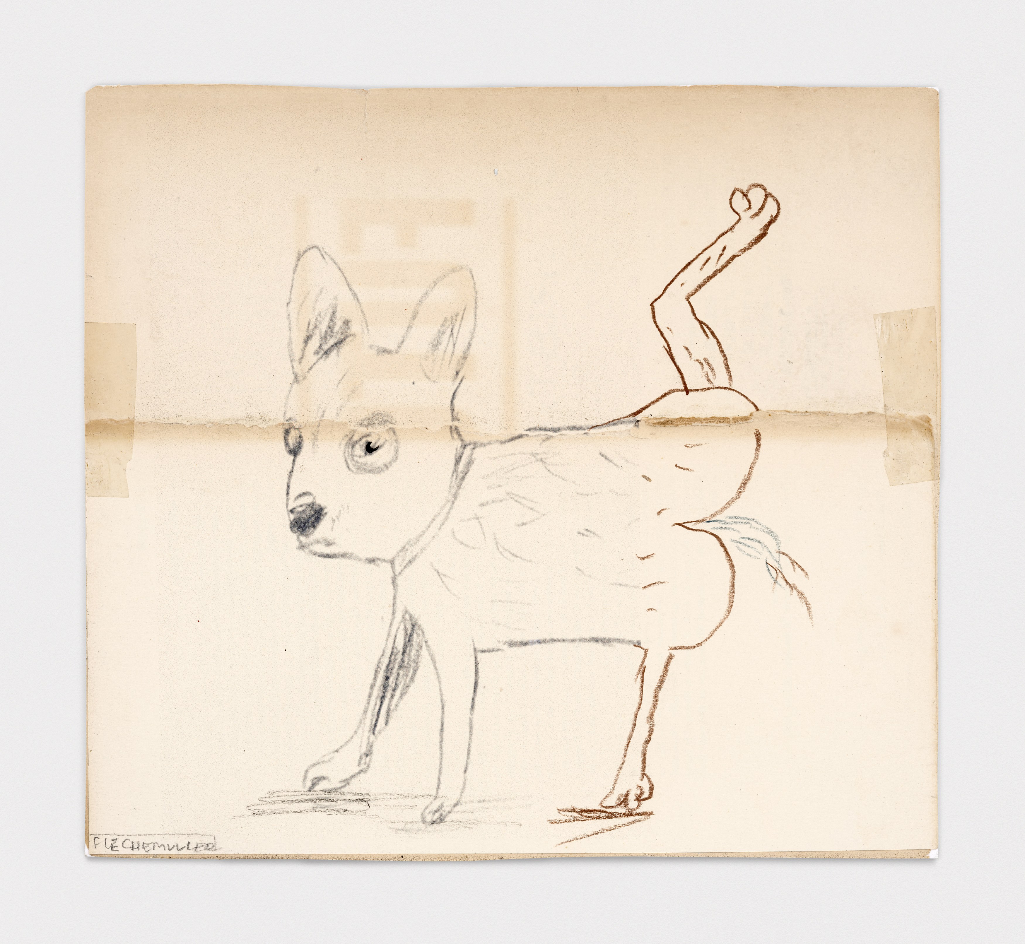 Jacques Flechemuller, Bathos at Harkawik, photo 22