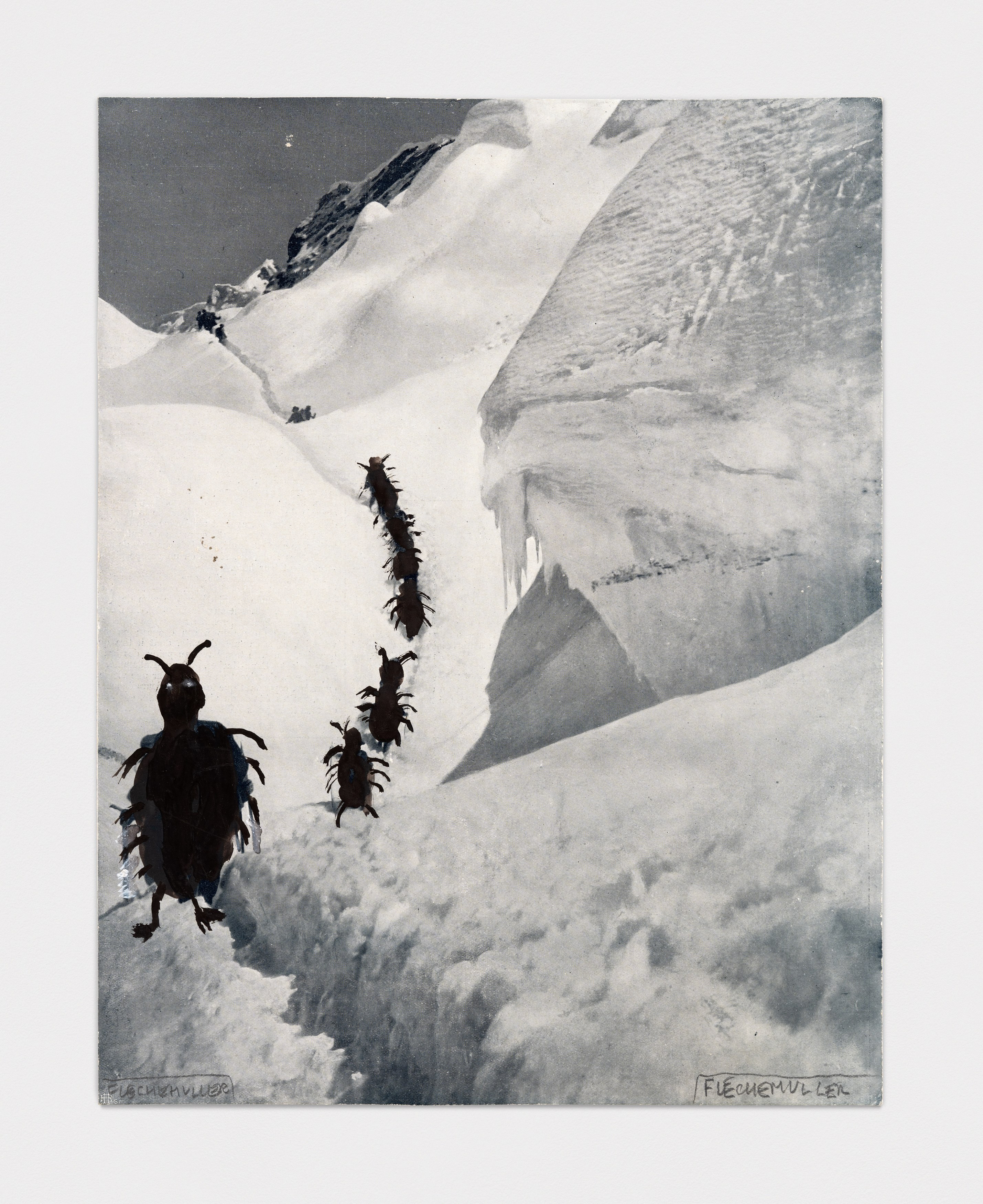 Jacques Flechemuller, Bathos at Harkawik, photo 23