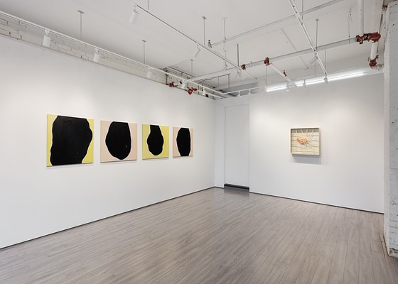 Image 21 of 26