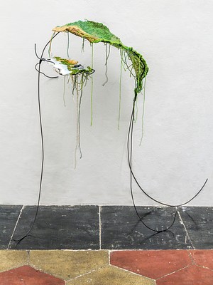 Image 12 of 22