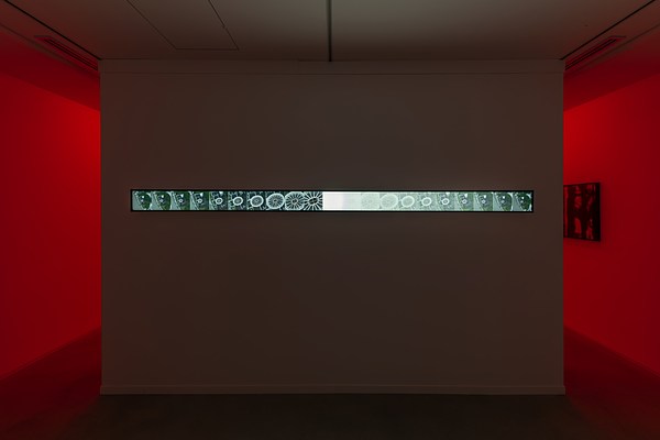 Image 5 of 10