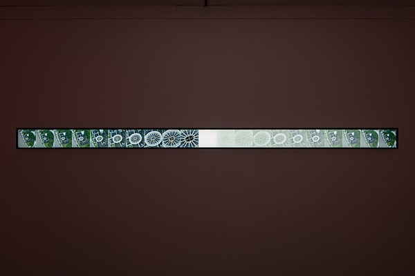 Image 6 of 10