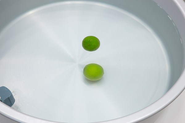 Image 10 of 45
