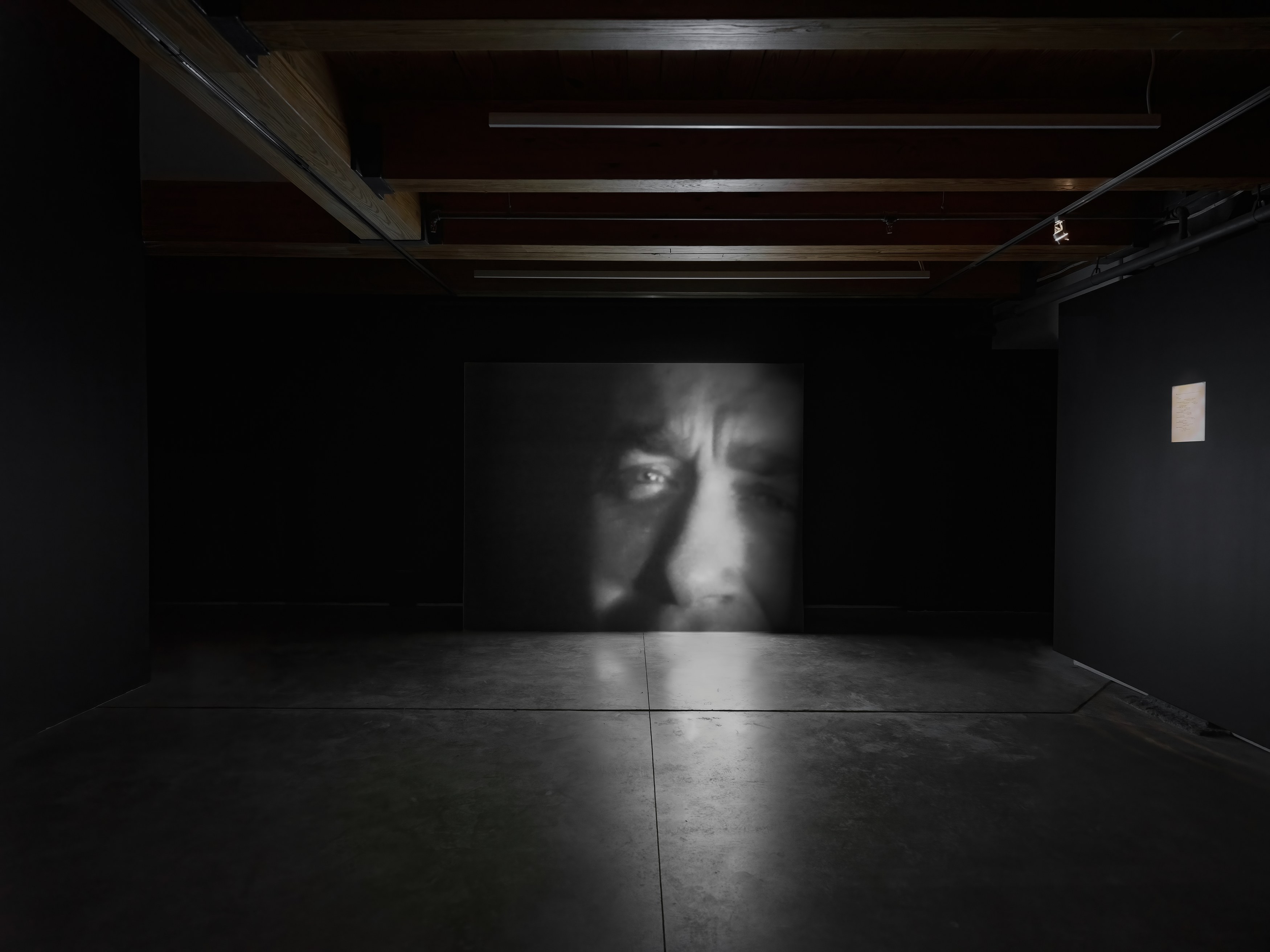 Vito Acconci, Here, There at anonymous gallery, photo 2