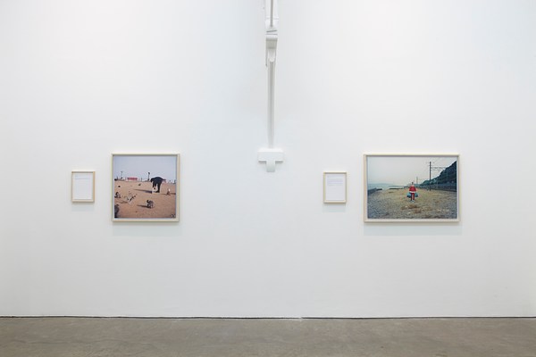 Image 2 of 45
