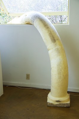 Image 10 of 31