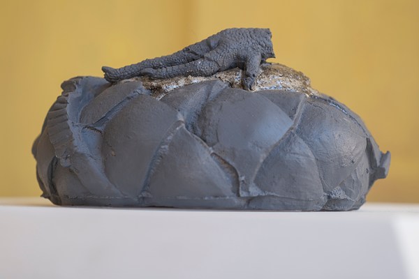 Image 14 of 19