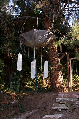 Image 6 of 7