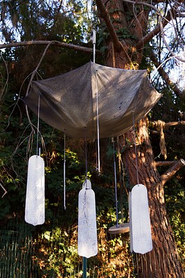 Image 7 of 7