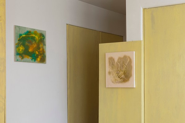 Image 5 of 21