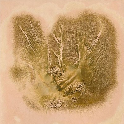 Image 20 of 21