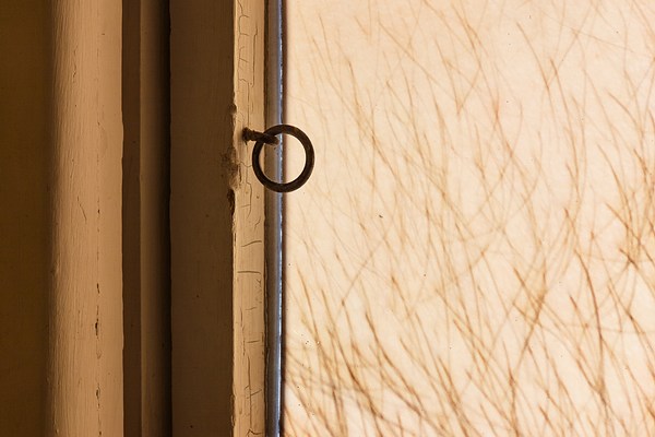 Image 5 of 7