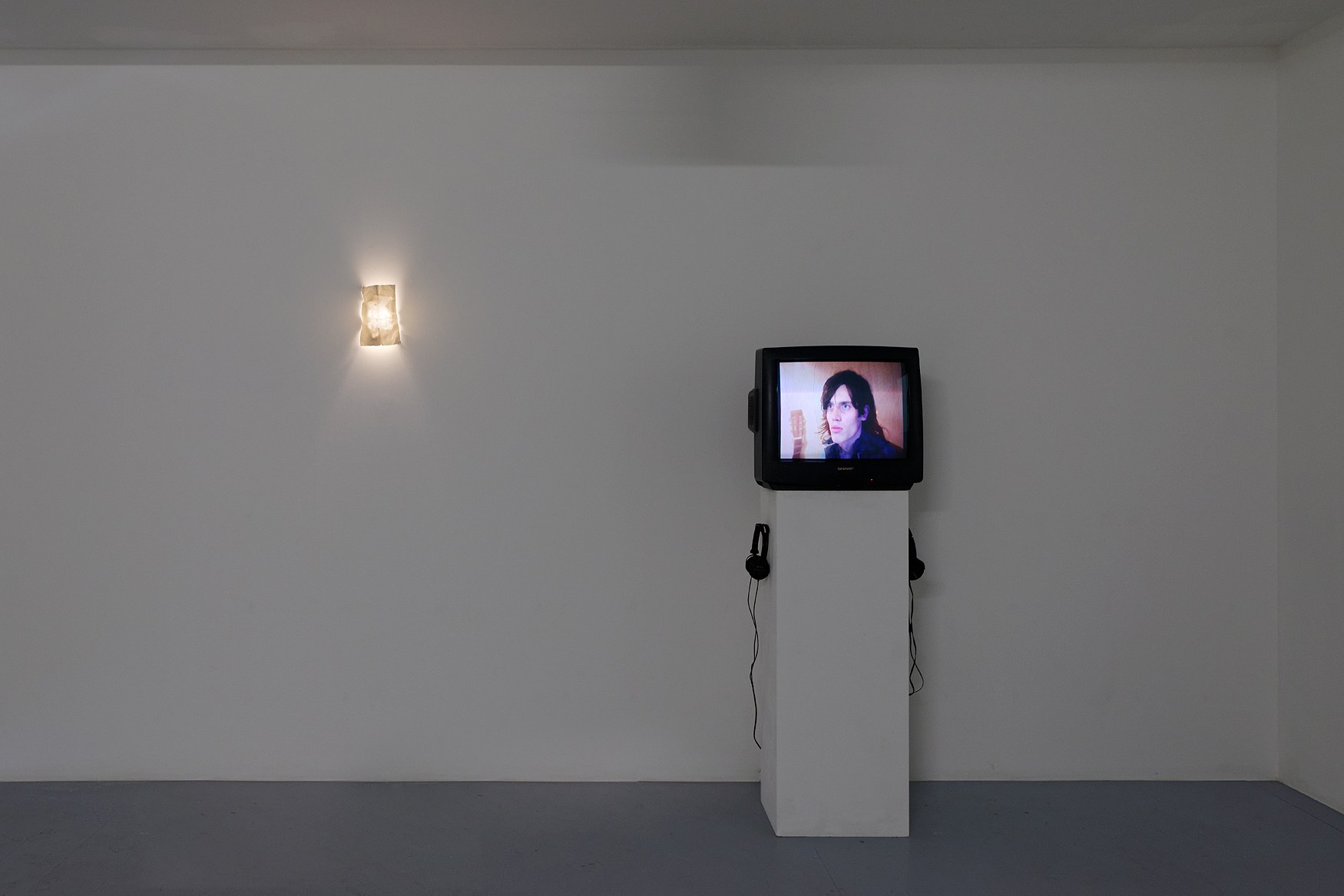 Sowon Kwon, David Muenzer, Jeffrey Stuker, Saigon Immolation at Galerie Balice Hertling, photo 5