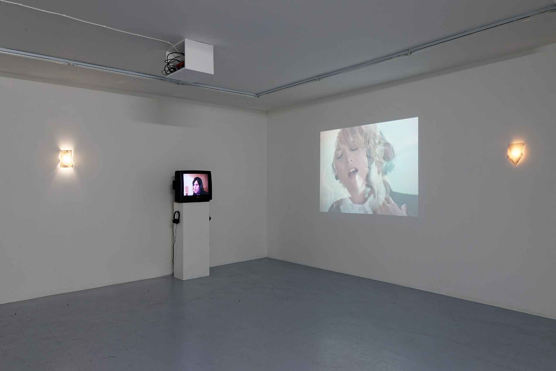 Sowon Kwon, David Muenzer, Jeffrey Stuker, Saigon Immolation at Galerie Balice Hertling, photo 2