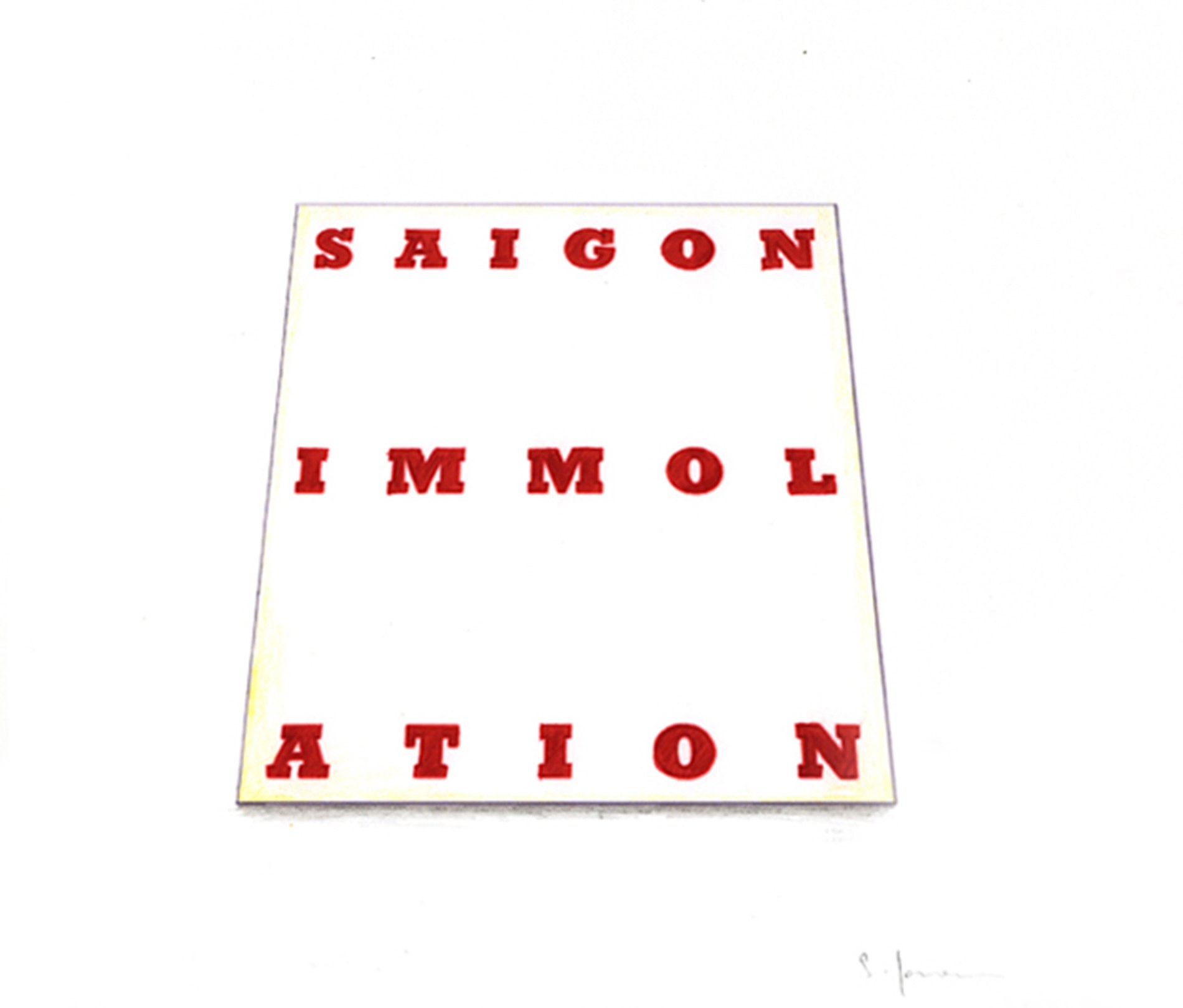 Sowon Kwon, David Muenzer, Jeffrey Stuker, Saigon Immolation at Galerie Balice Hertling, photo 10