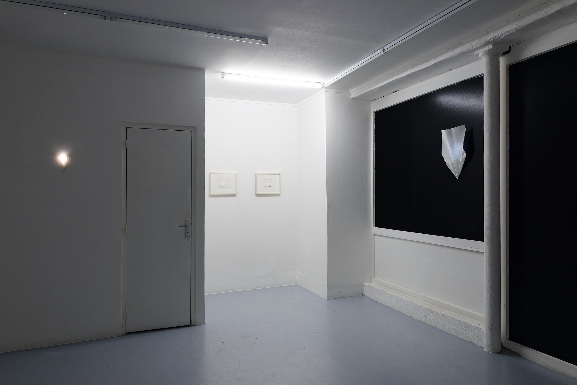 Sowon Kwon, David Muenzer, Jeffrey Stuker, Saigon Immolation at Galerie Balice Hertling, photo 8